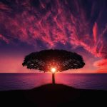 tree-736885__480